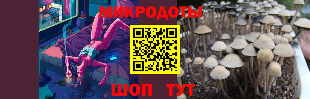 Ростов-на-Дону  Псилоцибиновые грибы GOLDEN TEACHER  Вход с VPN  Псилоцибиновые грибы прущие грибы 